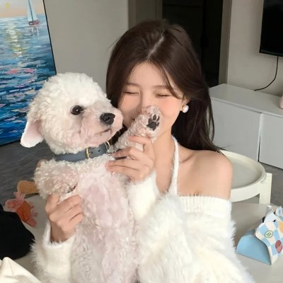 偶像星愿第三季